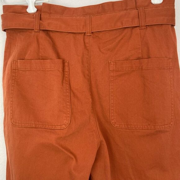 Banana Republic Barrel pants w/ tie in pumpkin spice - Picture 8 of 11